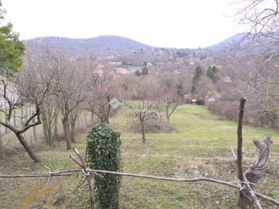Eladó külterületi telek Pomáz