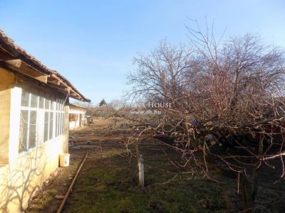 Eladó családi ház Berekfürdő