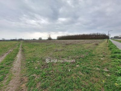 Eladó nyaraló Tiszakécske