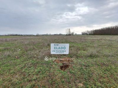 Eladó nyaraló Tiszakécske