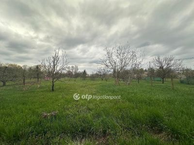 Eladó nyaraló Szentes