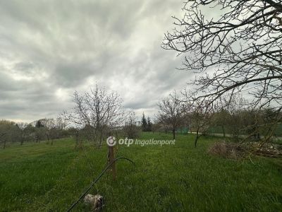 Eladó nyaraló Szentes