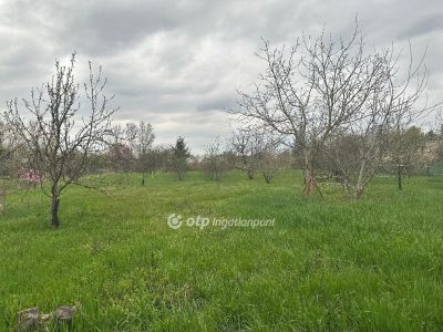 Eladó nyaraló Szentes