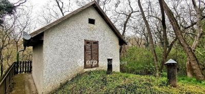 Eladó üdülőövezeti telek Tápszentmiklós