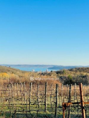 Eladó nyaraló Balatonfüred