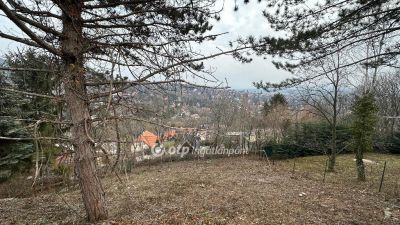 Eladó családi ház Szentendre