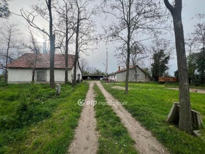 Eladó tanya Cegléd