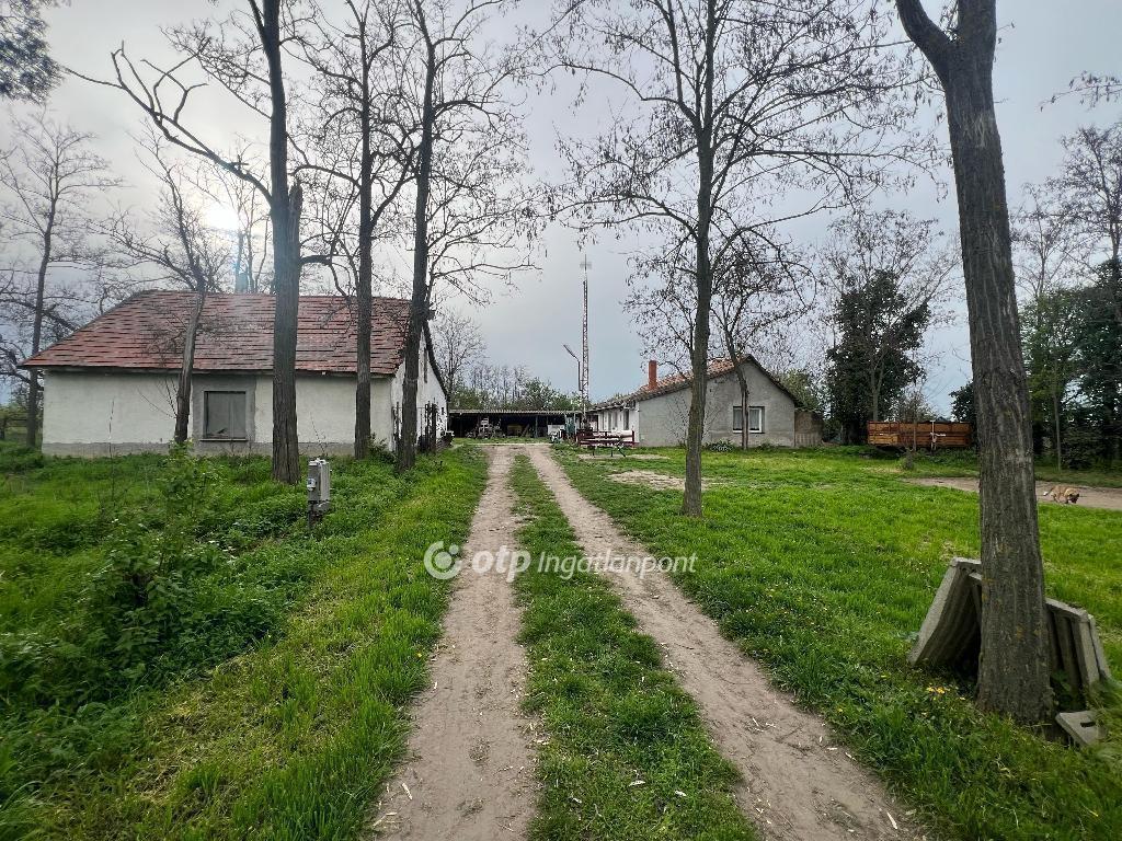 Eladó tanya Cegléd