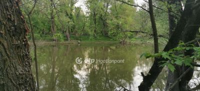 Eladó üdülőövezeti telek Győr