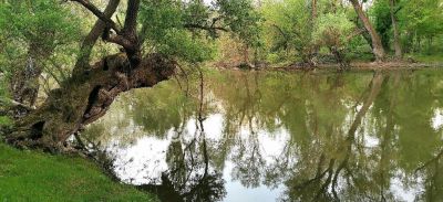 Eladó üdülőövezeti telek Győr