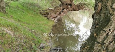 Eladó üdülőövezeti telek Győr