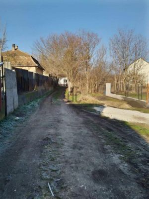 Eladó lakóövezeti telek Ráckeve
