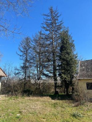 Eladó tanya Újszilvás