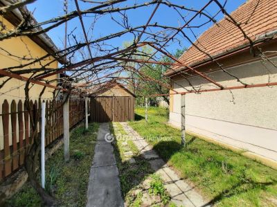 Eladó nyaraló Tiszakécske