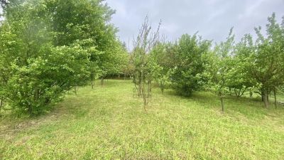 Eladó lakóövezeti telek Zalaegerszeg