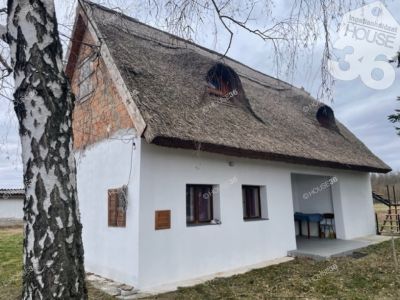 Eladó tanya Lajosmizse