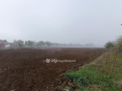 Eladó családi ház Nyírkarász