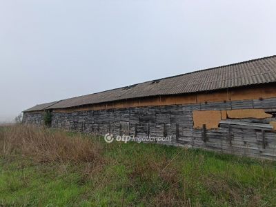 Eladó családi ház Nyírkarász