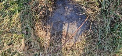 Eladó lakóövezeti telek Szigetszentmiklós