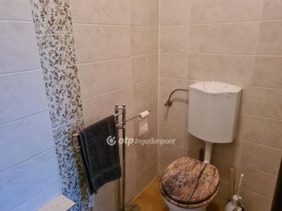 Eladó családi ház Bocskaikert