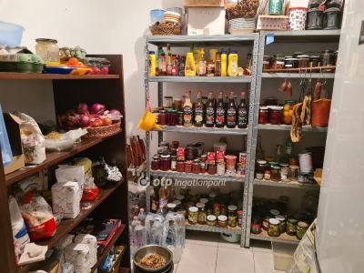 Eladó családi ház Bocskaikert