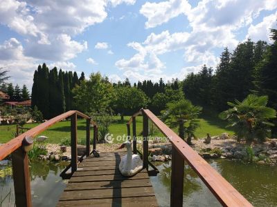 Eladó családi ház Nyíregyháza