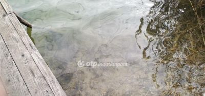 Eladó nyaraló Szigetszentmiklós