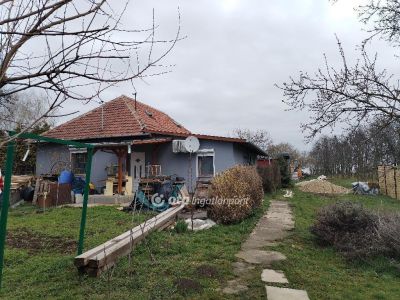 Eladó családi ház Martonvásár