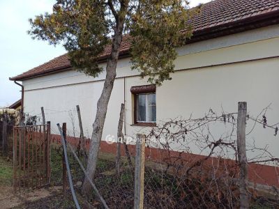 Eladó családi ház Csanytelek