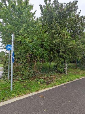 Eladó üdülőövezeti telek Balatonkenese Balatonakarattya