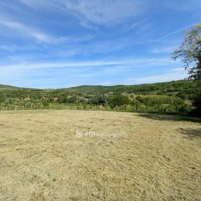 Eladó általános mezőgazdasági ingatlan Szekszárd