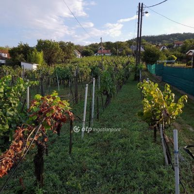 Eladó étterem, vendéglő Szekszárd