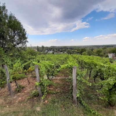 Eladó étterem, vendéglő Szekszárd