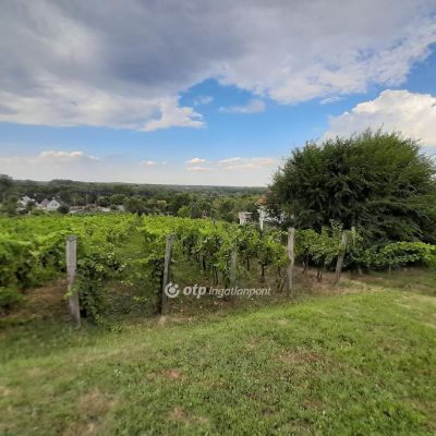 Eladó étterem, vendéglő Szekszárd