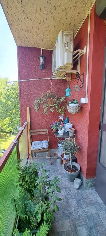 Eladó lakás Mezőkovácsháza
