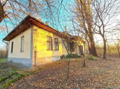 Eladó nyaraló Kecskemét