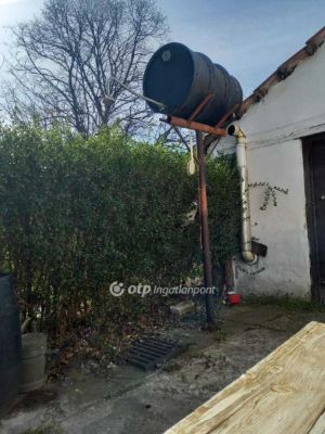 Eladó tanya Csongrád