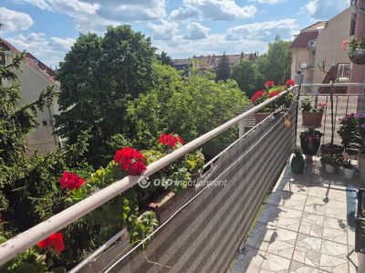 Eladó lakás Szeged