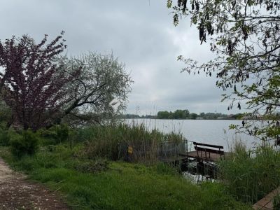 Eladó családi ház Ráckeve