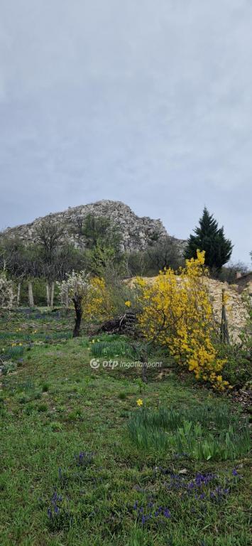 Eladó lakóövezeti telek Budaörs