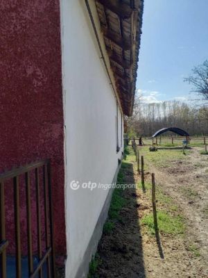 Eladó tanya Csongrád