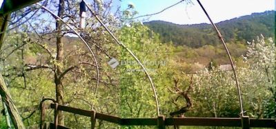 Eladó külterületi telek Budakeszi