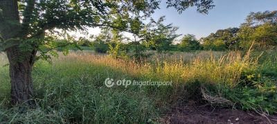 Eladó lakóövezeti telek Felcsút