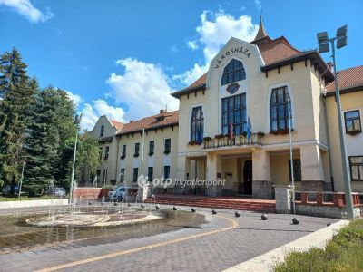 Eladó nyaraló Csépa