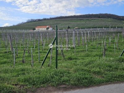 Eladó lakóövezeti telek Pécs
