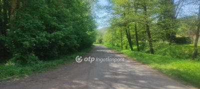 Eladó lakóövezeti telek Salgótarján