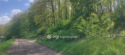 Eladó lakóövezeti telek Salgótarján