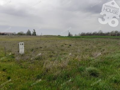 Eladó lakóövezeti telek Kiskunfélegyháza