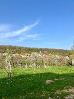 Eladó lakóövezeti telek Eplény