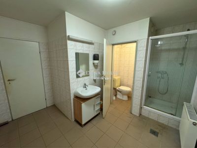 Eladó ikerház Budapest